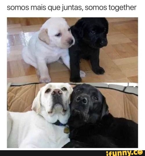 somos mais que juntas, somos together