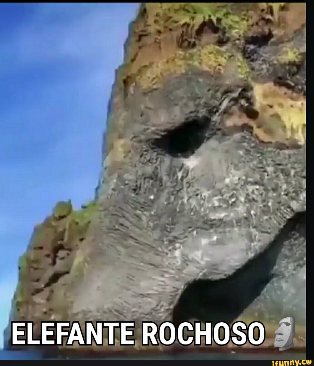 ELEFANTE ROCHOSO