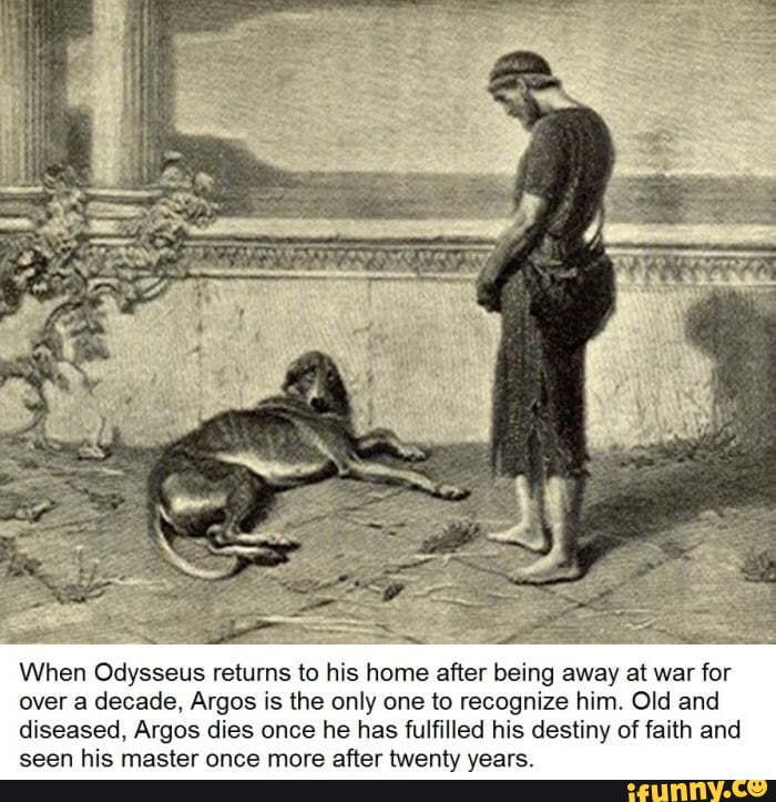 When Odysseus returns to his home after being away at war for over a decade, Argos is the only one to recognize him. Old and diseased, Argos dies once he has fulfilled his destiny of faith and
