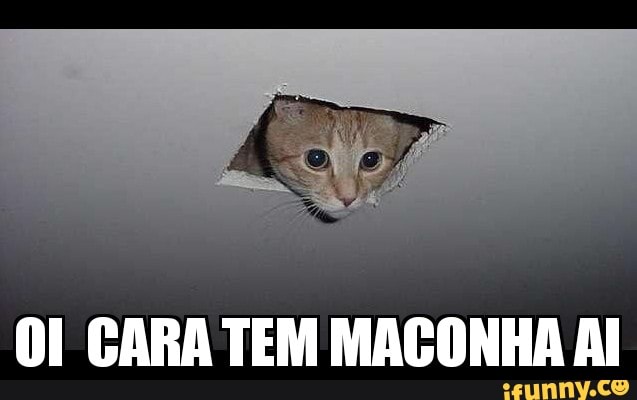 O! CARA TEM MACONHA AI