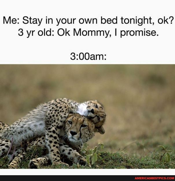 Me: Stay in your own bed tonight, ok?
3 yr old: Ok Mommy, I promise.