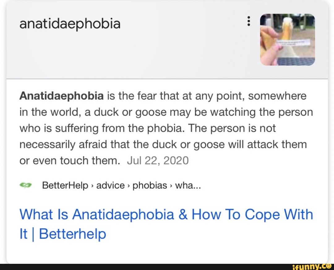 Anatidaephobia Anatidaephobia is the fear that at any point, somewhere