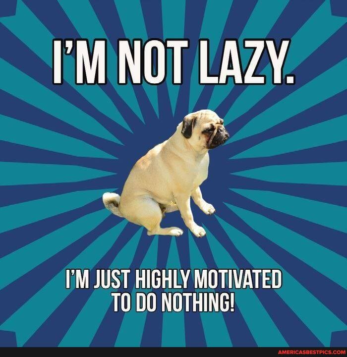 'M NOT LAZY.
I'M JUST HIGHLY MOTIVATED TO NOTHING!