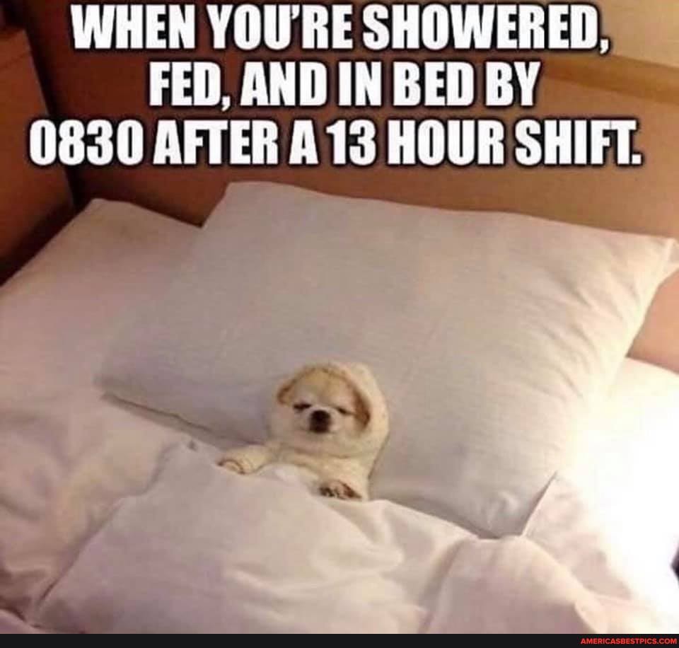 WHEN YOU'RE SHOWERED,
FED. AND IN BED BY
0830 AFTER A 13 HOUR SHIFT: