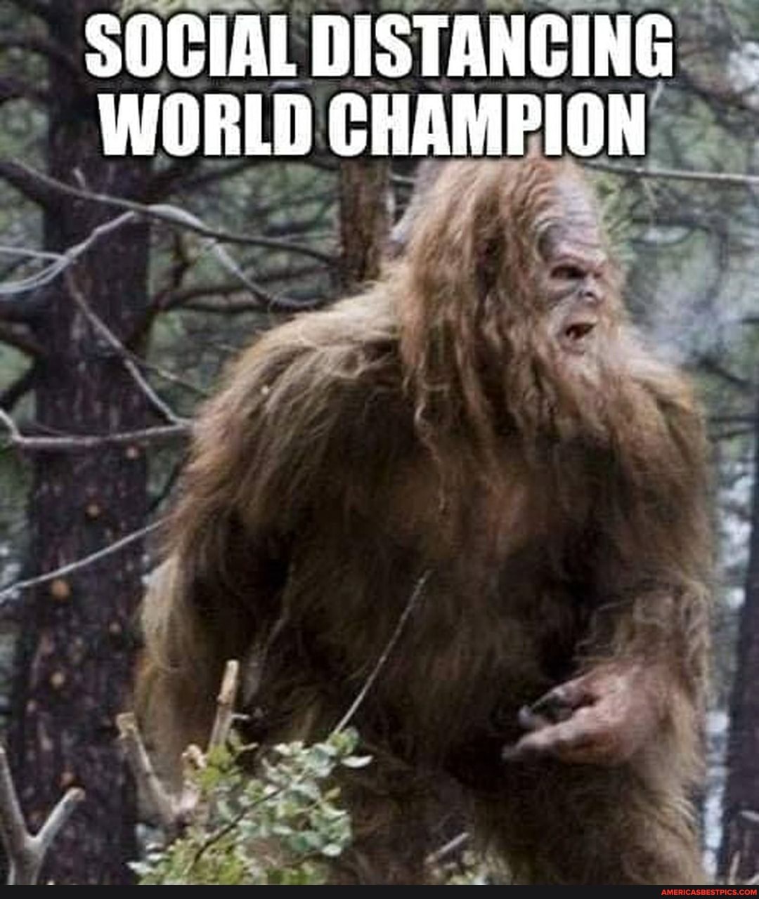 SOCIAL DISTANCING.
WORLD CHAMPION