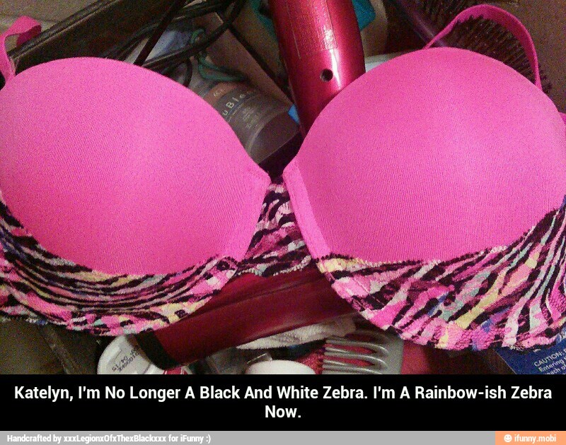 Katelyn, I'm No Longer A Black And White Zebra. I'm A Rainbow-ish Zebra
Now. - Katelyn, I'm No Longer A Black And White Zebra. I'm A Rainbow-ish Zebra Now.