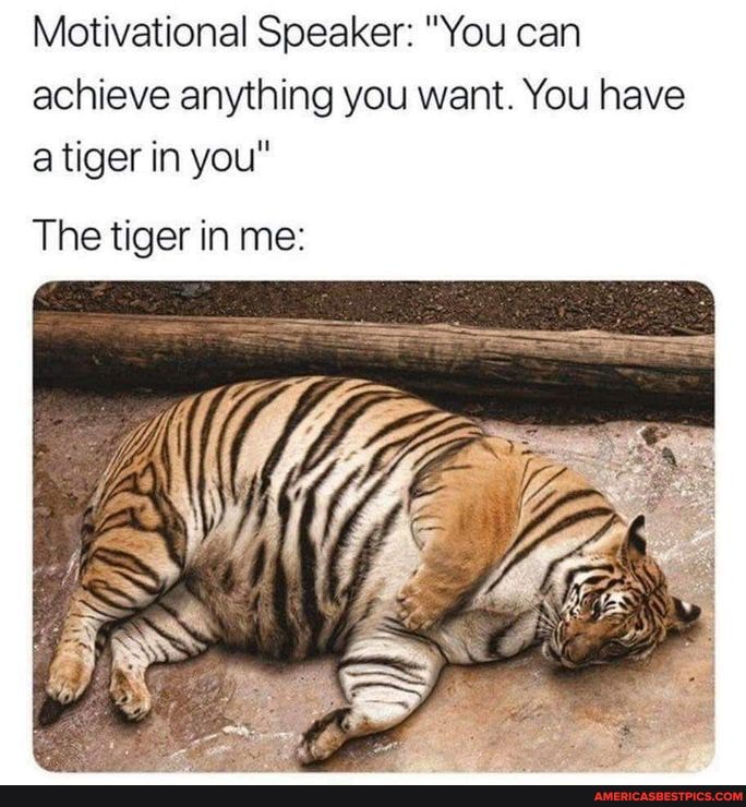 Motivational Speaker: "You can achieve anything you want. You have a tiger in you"
The tiger in me: