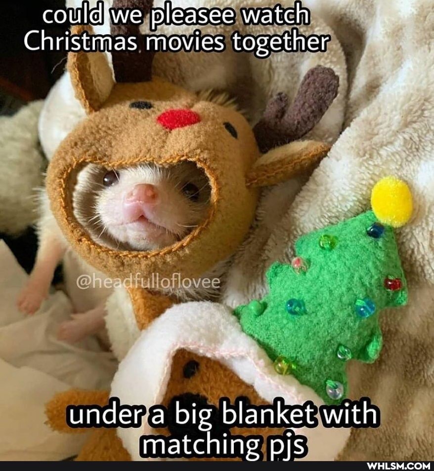 could! we pleasee watch
Christmas movies together
under a big blanket with
matchino nic