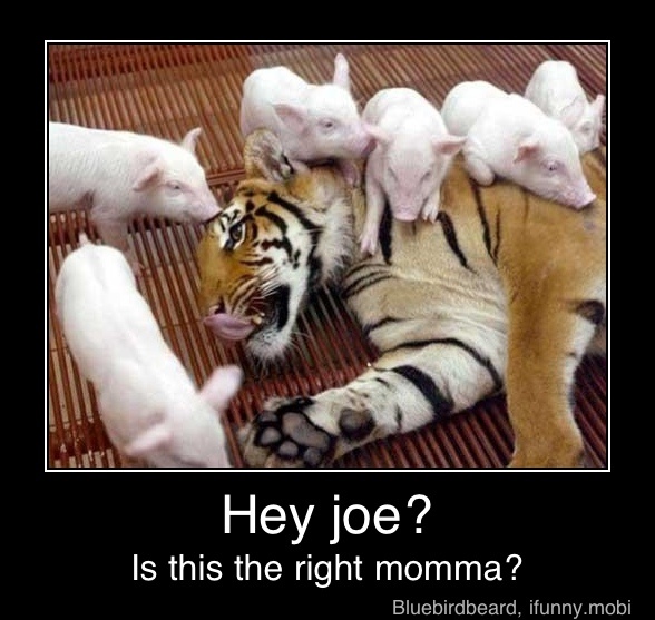 Hey joe?
Is this the right momma? - Hey joe?
Is this the right momma?