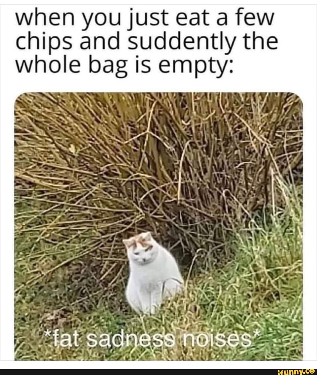 when you just eat a few
chips and suddently the
whole bag is empty: