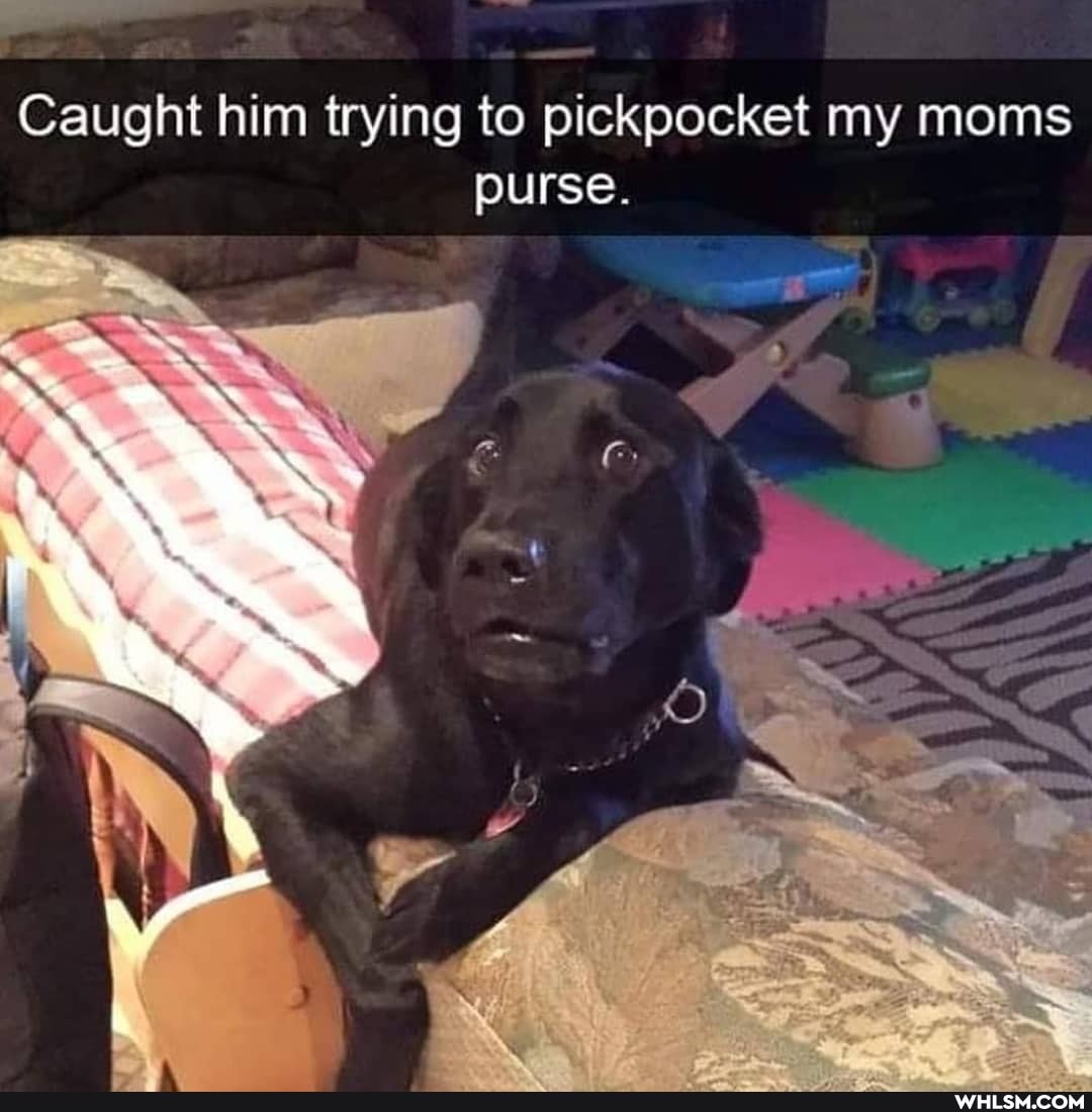 Caught him trying to pickpocket my moms purse.