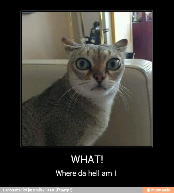 WHAT!
Where da hell am I - WHAT!
Where da hell am I