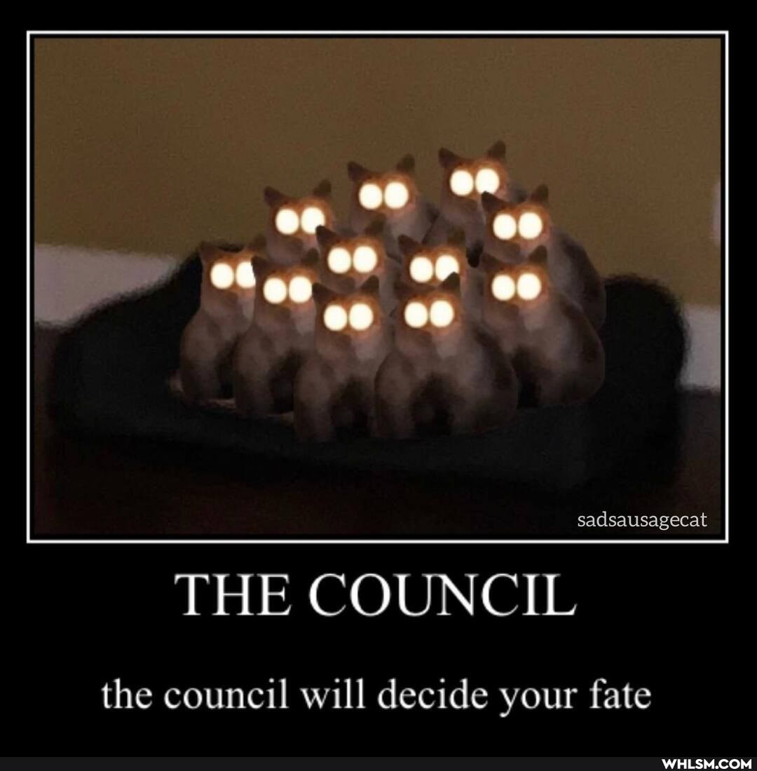 00
CO
sadsausagecat
HE COUNCIL
the council will decide your fate