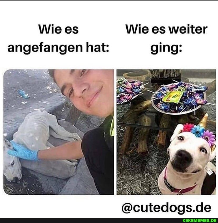 Wie es Wie es weiter angefangen hat: ging:
@cutedoas.de