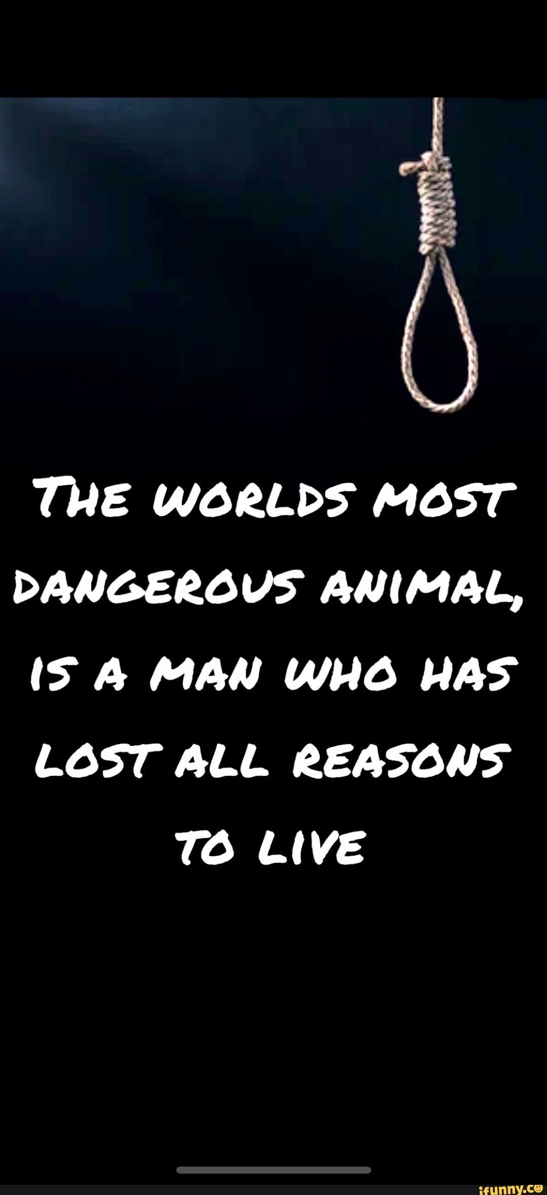 THE WORLDS MOST DANGEROUS ANIMAL, IS MAN WHO HAS LOST ALL REASONS TO