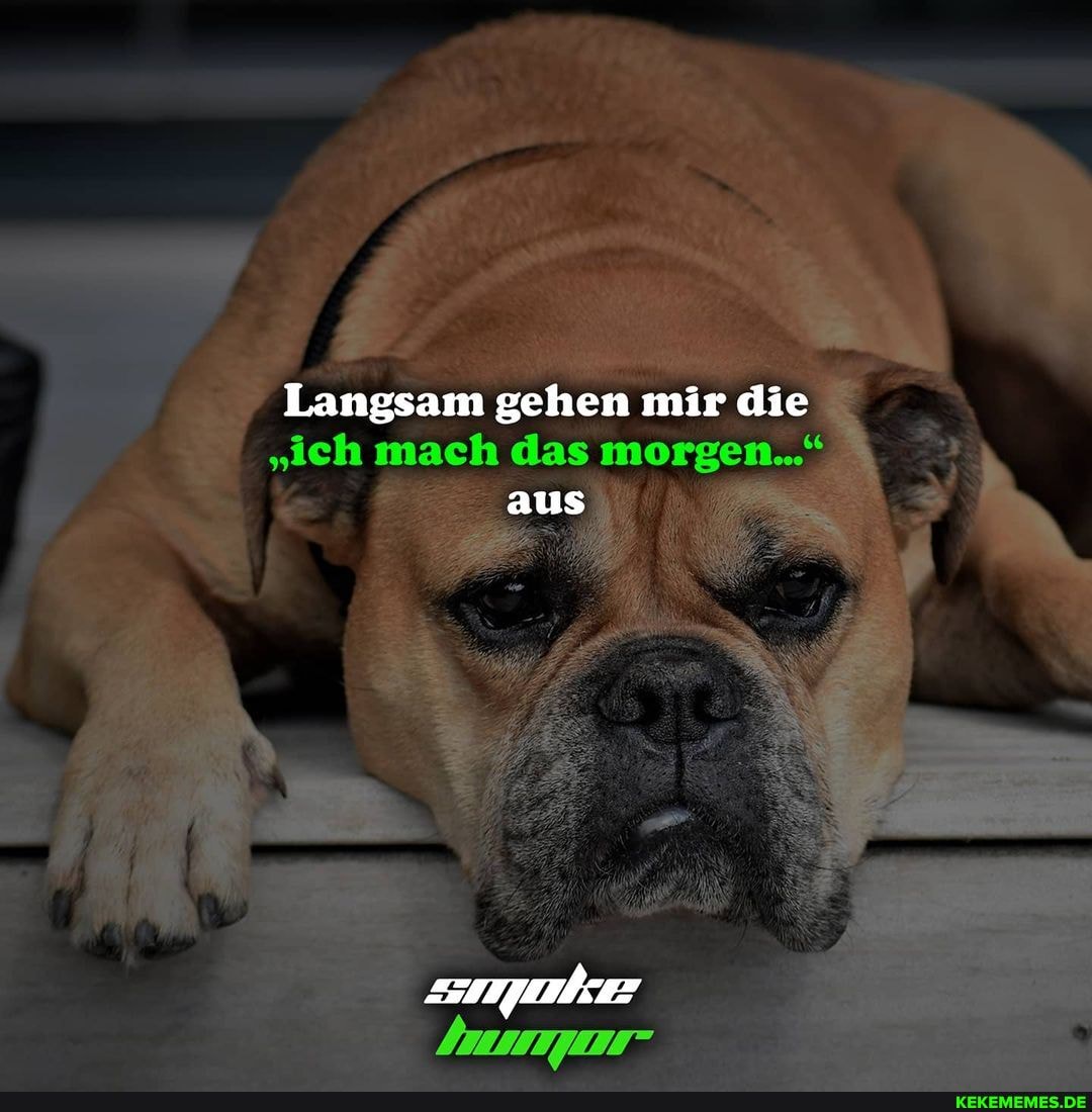 Langsam gehen mir die
"ich mach das morgen."
aus