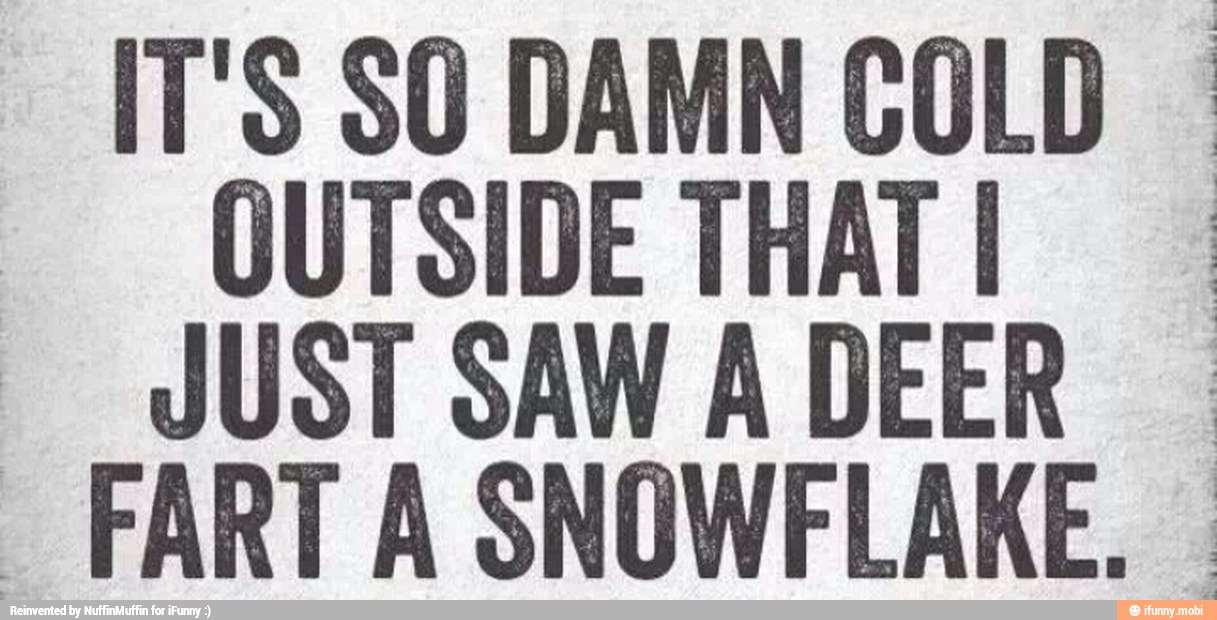 IT'S SO DAMN COLD I
OUTSIDE THATI JUST SAW A DEER I
"FARTA SNOWFLAKE.