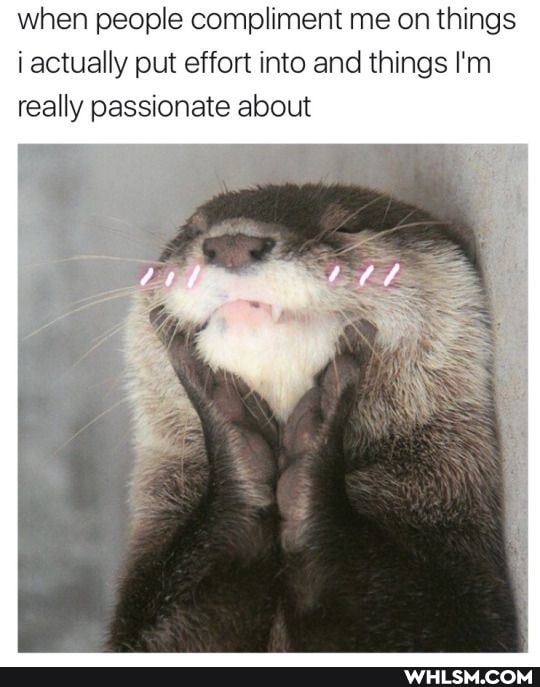 when people compliment me on things i actually put effort into and things I'm really passionate about