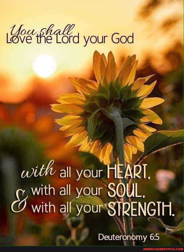 God
with all your HEART.
with all your UL.
with all yoursTRENGTH.
Deuteronomy 65
65