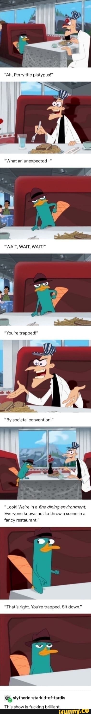 "Ah, Perry the platypus!"
"What an unexpected
"WAIT, WAIT, WAIT!"
"You're trapped!"
"By societal convention!"
"Look! We're in a fine dining environment.
Everyone knows not to throw a scene ina fancy restaurant!"
"That's right. You're trapped. Sit down."
This show Is fucking brilliant.