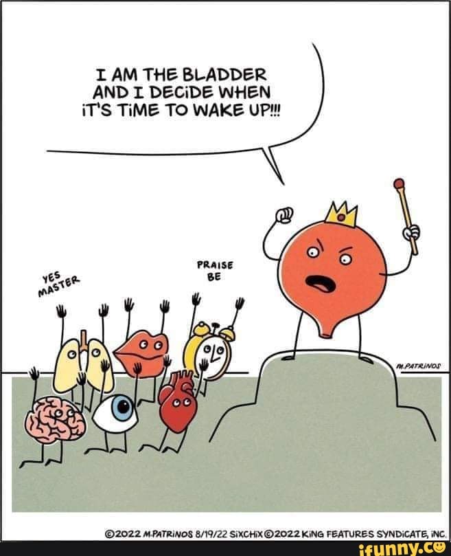 I Am The Bladder And Decide When Its Time To Wake Up Mpatrinos