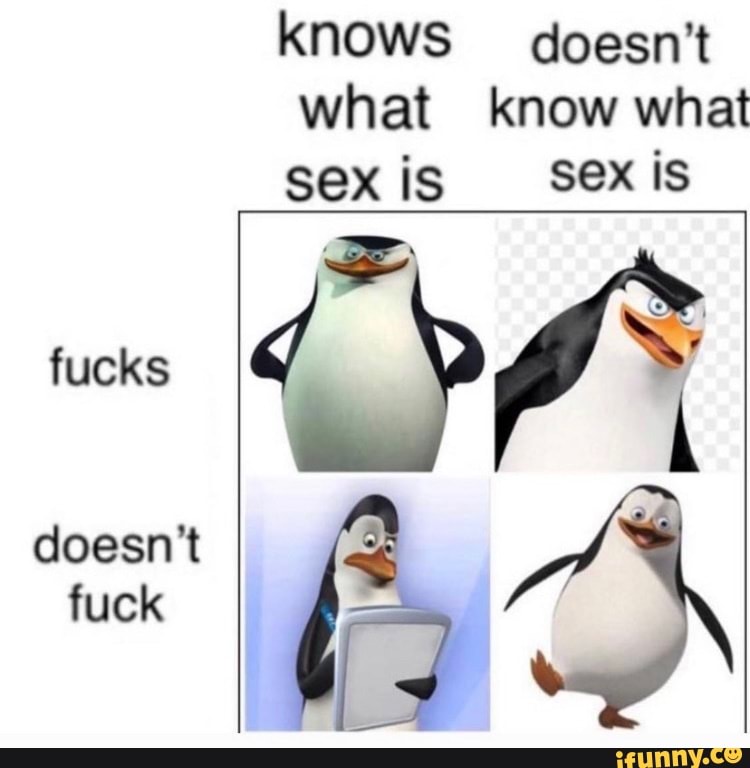 Knows Doesn T What Know What Sex Is Sex Is Fucks Doesn T Fuck Ifunny