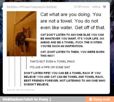 Cat what are you doing. You
are not a towel. You do not
even like water. Get off of that.
CAT DONT LISTEN TO ANYONE ELSE YOU CAN
BE WHATEVER YOU WANT. IT'S YOUR LIFE. GO
AHEAD AND BE A TOWEL. FUCK THE SYSTEM.
YOURE SUCH AN INSPIRATION,
CAT, DONT LISTEN TO THEM. YOU WERE BORN
THIS WAY!
THATS NOT EVEN A TOWEL RACK
ITS UKE APIPE OR SOME SHIT
DONT LISTEN PIPE! YOU CAN BE A TOWEL RACK IF YOU
BELIEVE! YOU AND CAT CAN BE TOWEL AND TOWEL RACK.
BEST FRIENDS FOREVER, NOT LISTENING TO ANYONE WHO
DOESN'T BELIEVE.