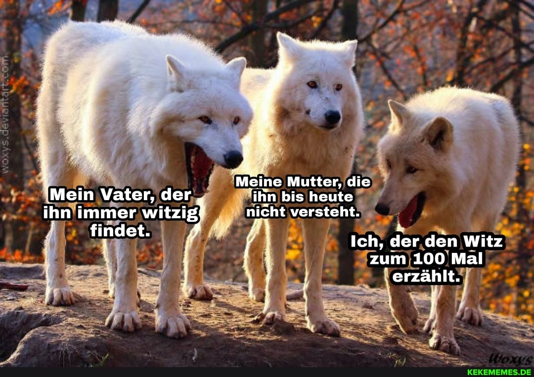 Meine Mutter, die fi
!IMein Vater, der ihn) bis heute ihn immer witzig! nicht versteht.
Ich, der den Witz zum 100 Mal
erzählt.