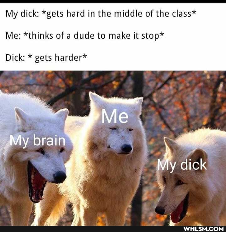 My dick: *gets hard in the middle of the class*
Me: *thinks of a dude to make it stop*
Dick: * gets harder*
_ My brain
My dick