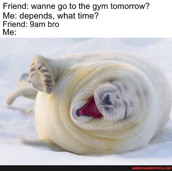 Friend: wanne go to the gym tomorrow?
Me: depends, what time?
Friend: San bro
Me:
