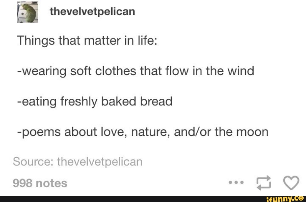 & thevelvetpelican Things that matter in life wearing soft clothes