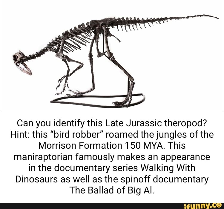 Can you identify this Late Jurassic theropod? Hint: this 