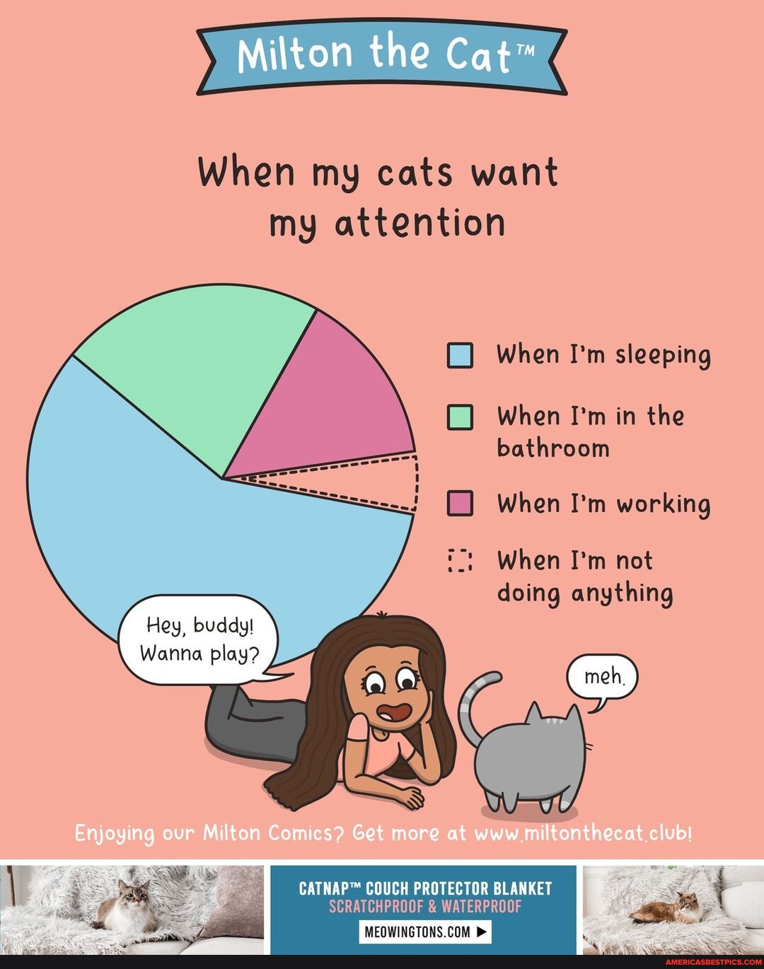 Conflicting Schedules A Diagram 😅 Milton the Cat When my cats want