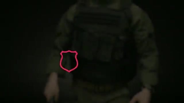 gerber frog and gravy