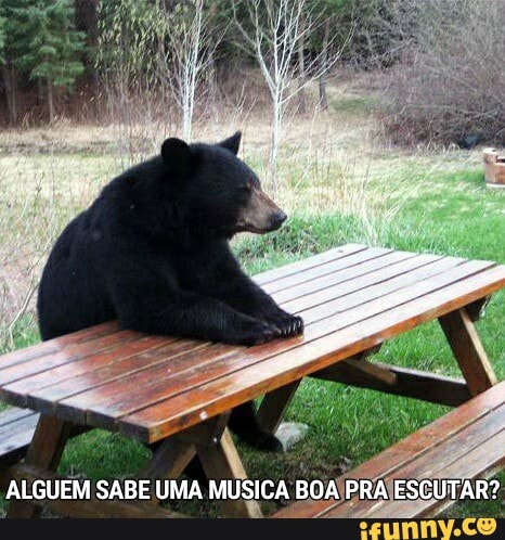 ALGUEM SABE UMA MUSICA BOA PRA ESCUTAR?