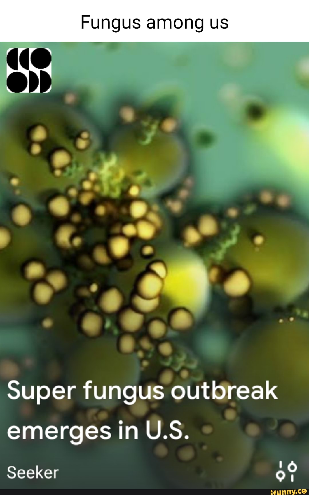 Fungus among us Super fungus outbreak emerges in U.S. Seeker iFunny