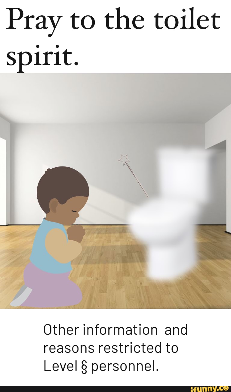 Pray to the toilet spirit. Otherinformation and reasons restricted to Level § personnel. iFunny