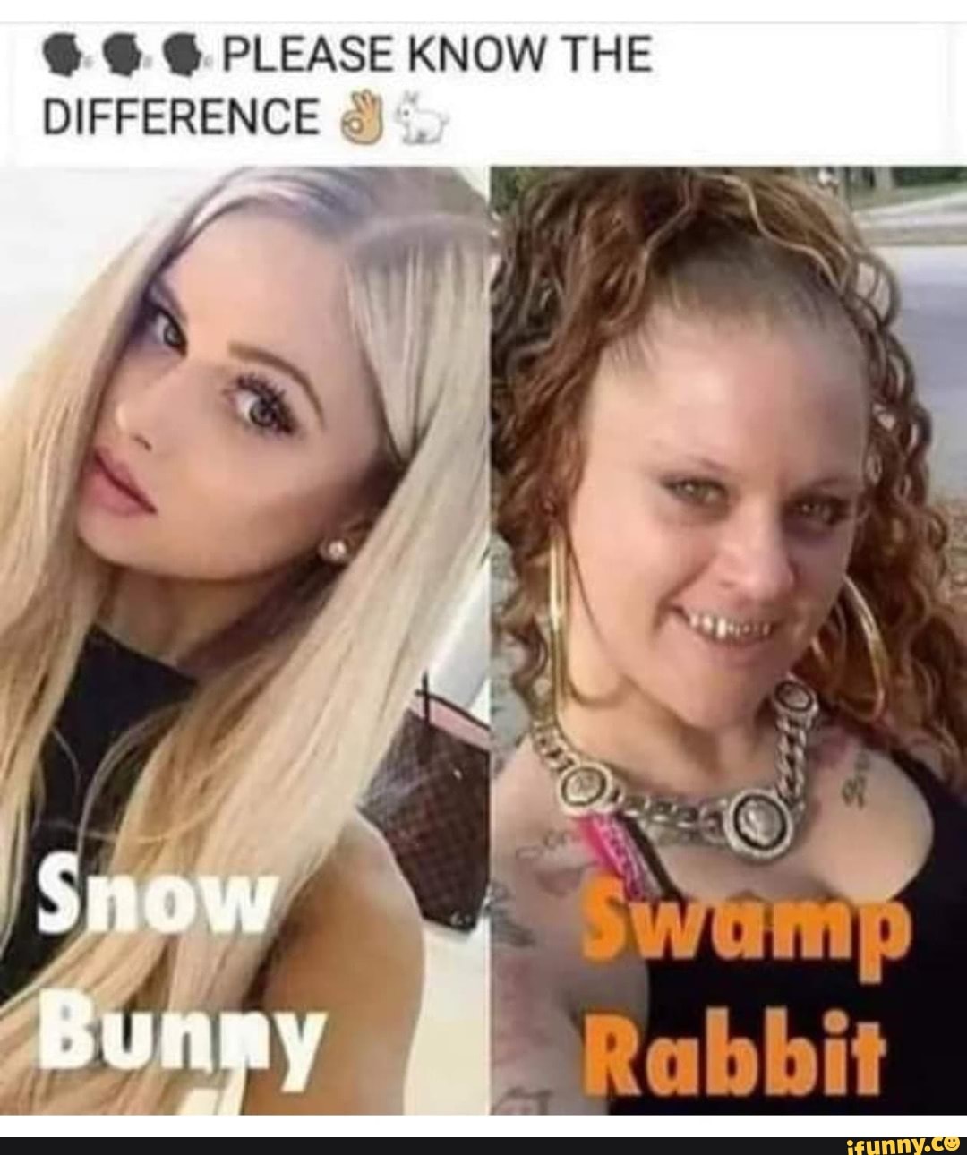 PLEASE KNOW THE DIFFERENCE Snow Bunny IFunny