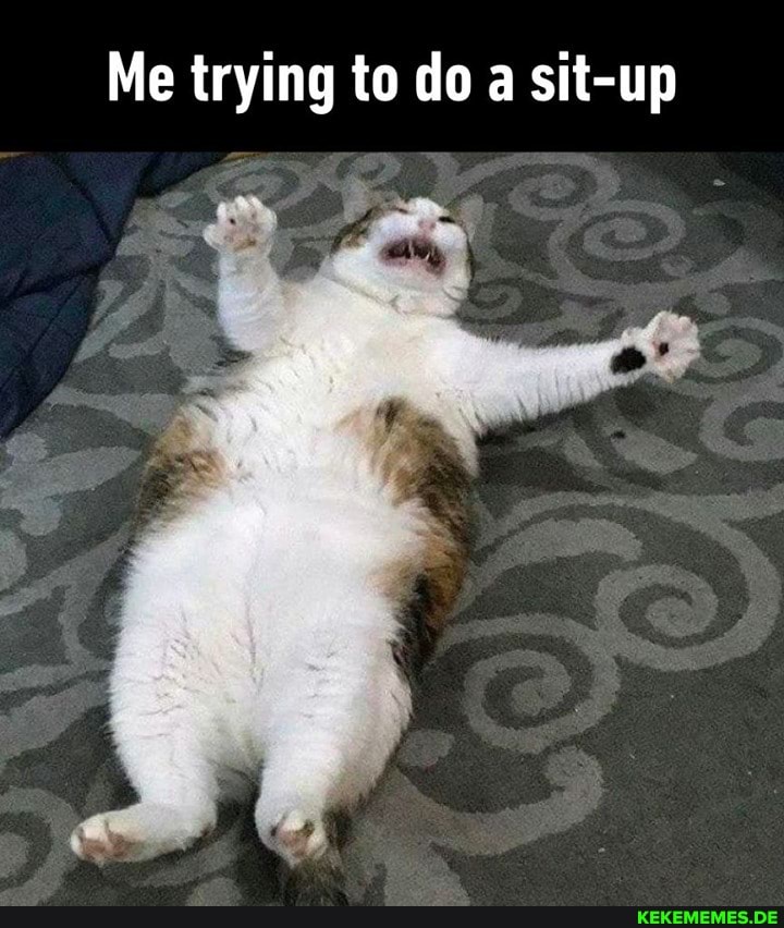 Me trying to do a sit-up