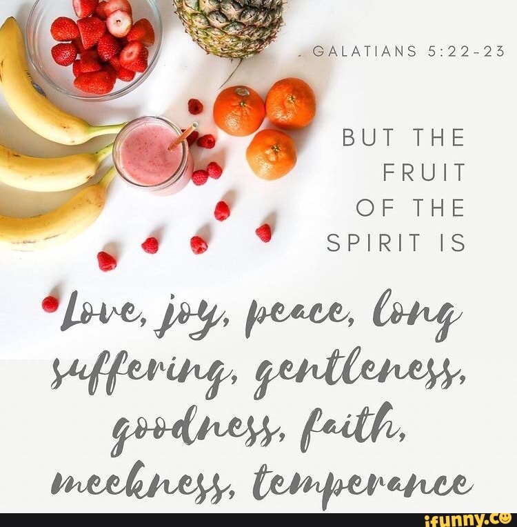 GALATIANS $:22-23 BUT THE FRUIT OF THE SPIRIT IS - iFunny