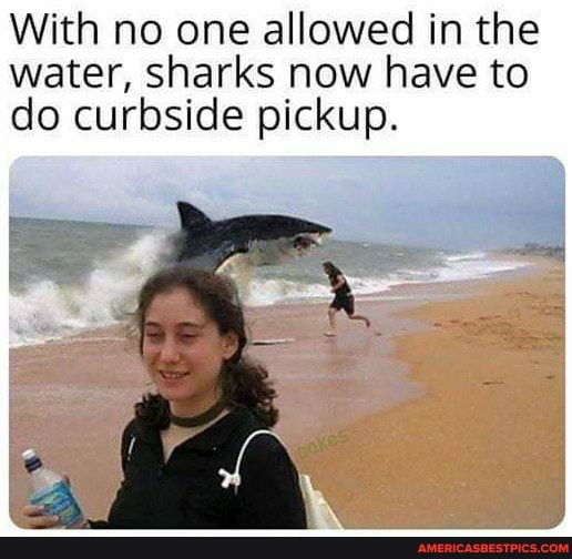 With no one allowed in the water, sharks now have to do curbside pickup.