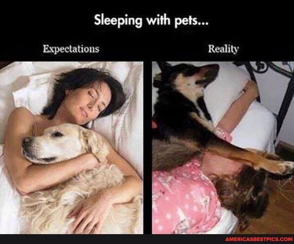 Sleeping with pets...
Expectations Reality