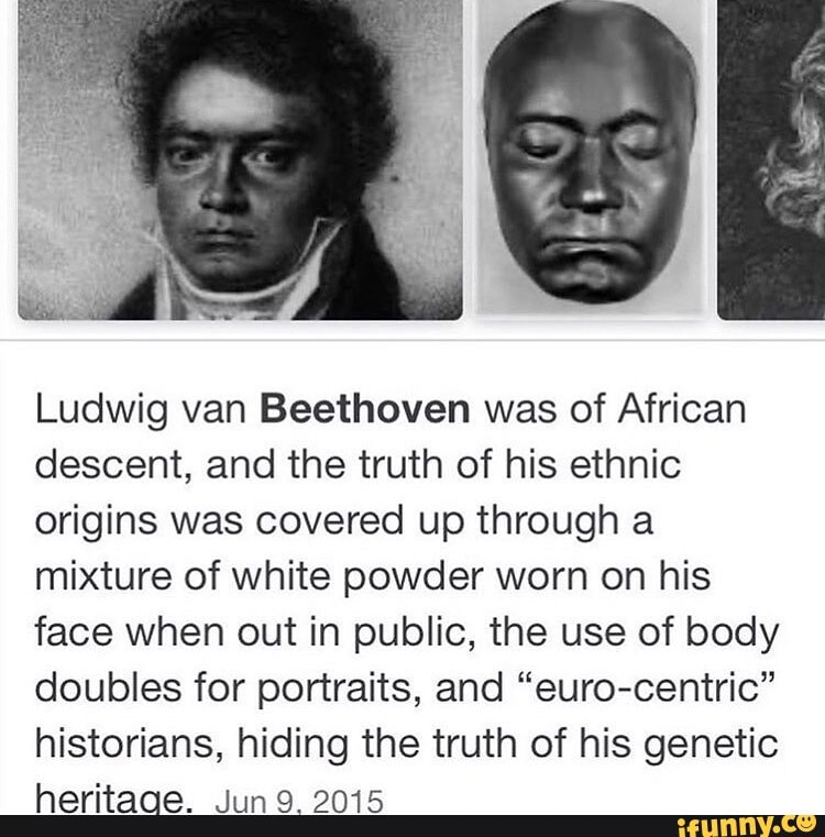 Ludwig van Beethoven was of African descent, and the truth of his ...