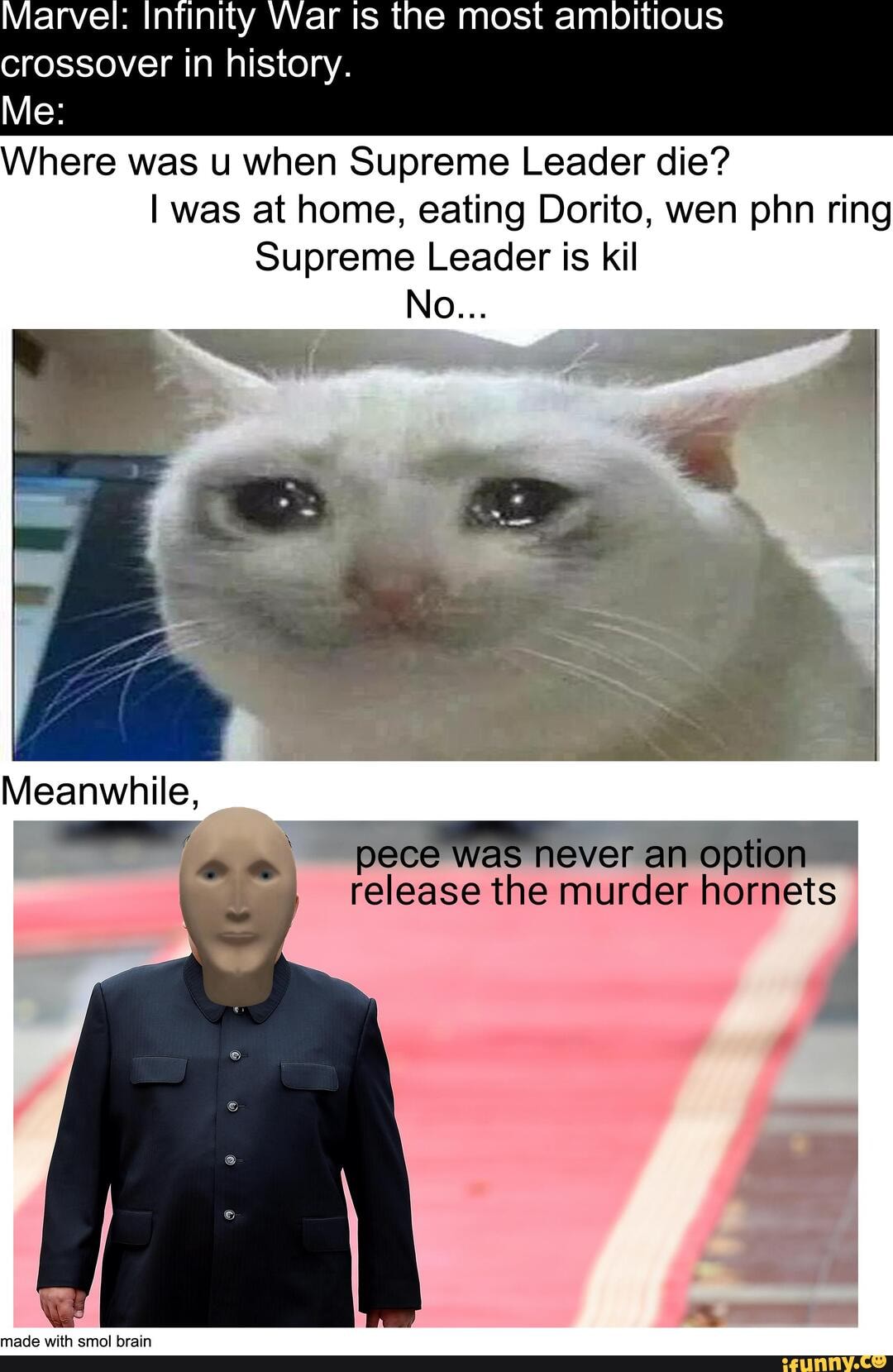 Marvel: Intinity War Is the most ambitious crossover in history.
Where was u when Supreme Leader die?
I was at home, eating Dorito, wen phn ring
Supreme Leader is kil
No...
pece Was never an option release the murder hornets
made with smol brain