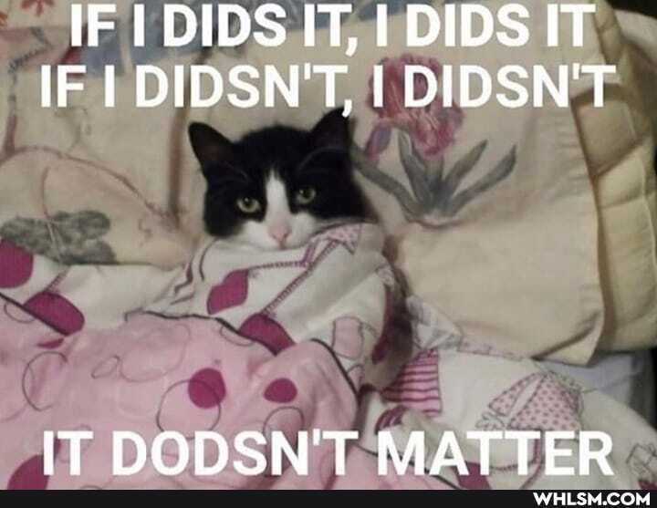 IF I DIDS IT, I DIDS IT IF I DIDSN'T, I DIDSN'T
IT DODSN'T MATTER