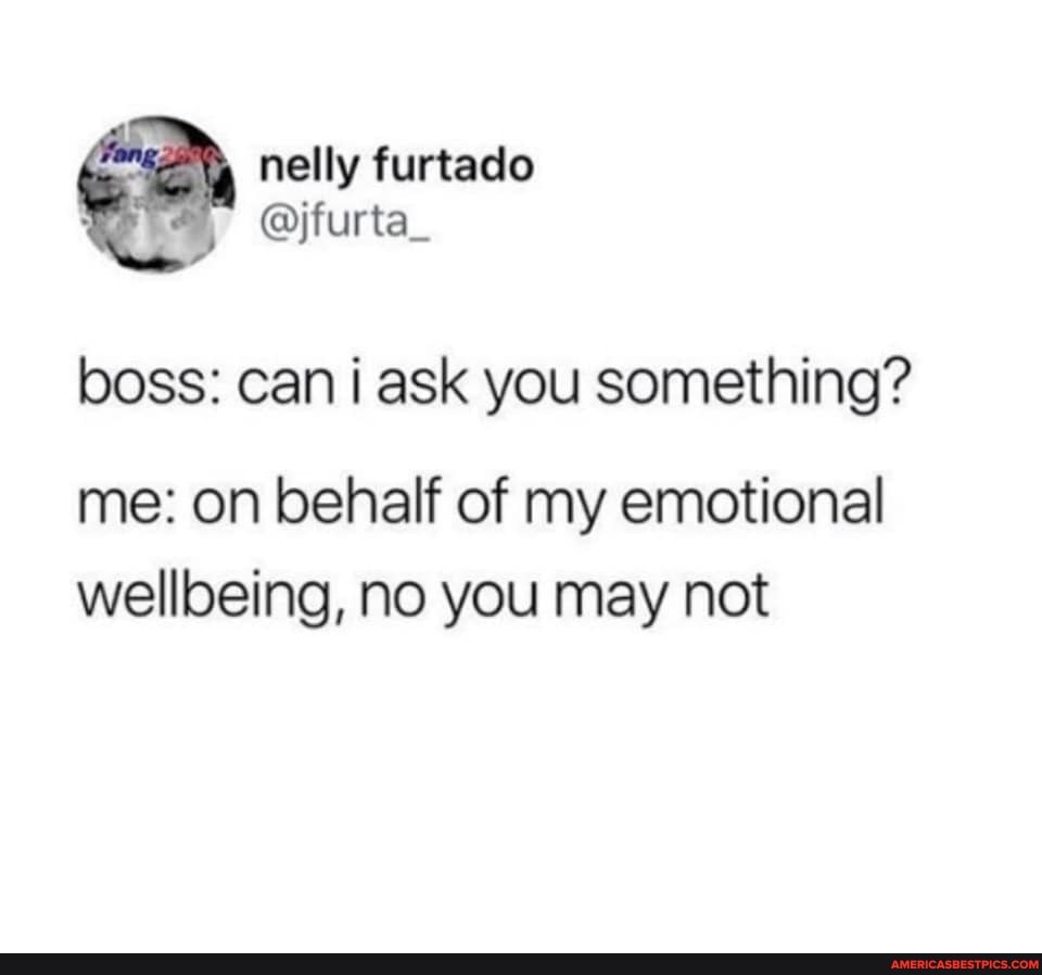 nelly furtado
boss: can i ask you something?
me: on behalf of my emotional wellbeing, no you may not