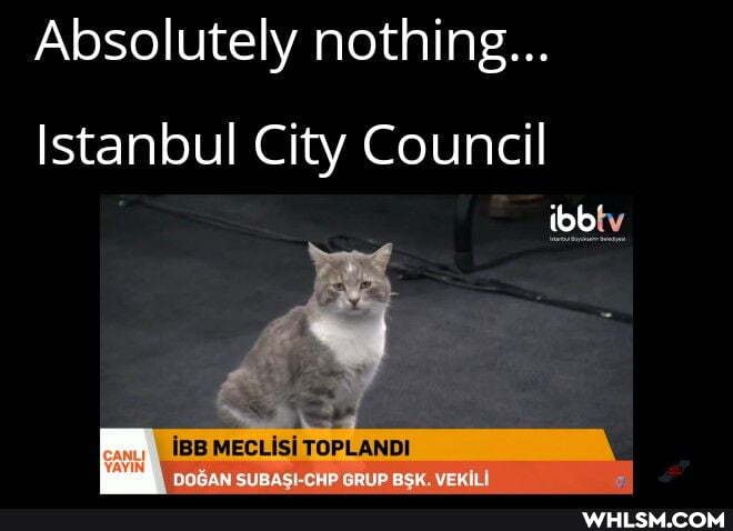 Absolutely nothing...
Istanbul City Council bb'
iBB MECLisi TOPLANDI