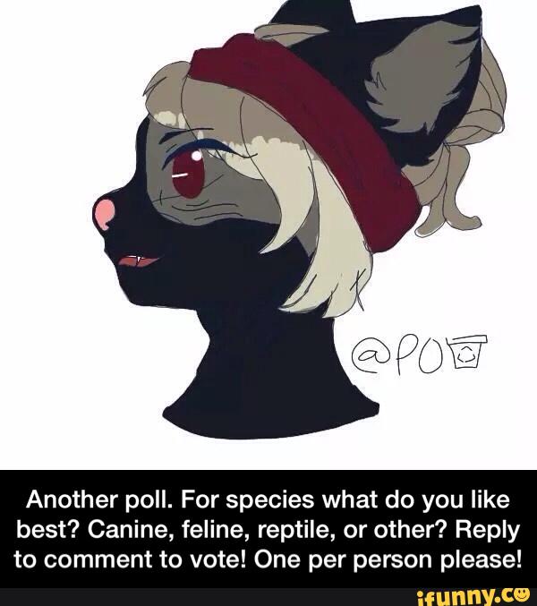 Another poll. For species what do you like
best? Canine, feline, reptile, or other? Reply
to comment to vote! One per person please! - Another poll. For species what do you like best? Canine, feline, reptile, or other? Reply to comment to vote! One per person please!