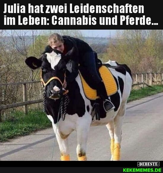 Julia hat zwei Leidenschaften im Lehen: Gannabis und Pferde...