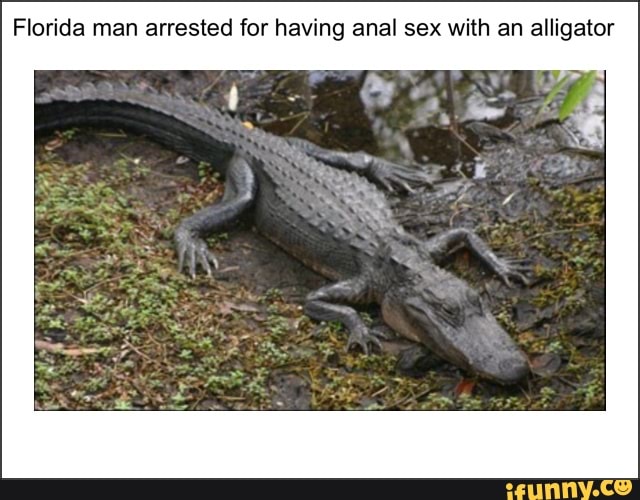Florida man arrested for having anal sex with an alligator.